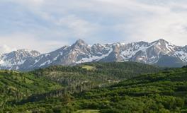 孕妇梦到种水稻