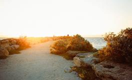 梦到泥石流逃生是什么意思