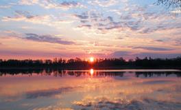 梦见戒指和项链