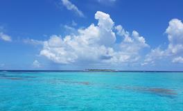 梦到自己被车撞了