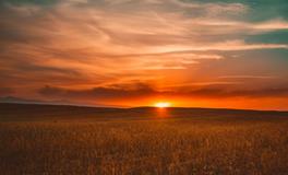 梦到小孩被车压死