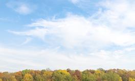 梦到很多人被杀头