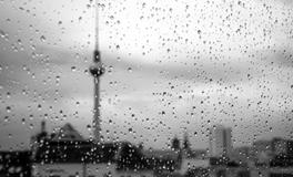 做梦梦见牛是什么意思