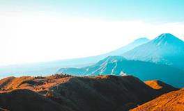 做梦梦到钓鱼是什么意思