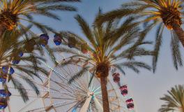 梦到喜欢的人躲着我