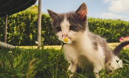 做梦梦到自己生娃