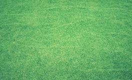 梦到陌生男人吻我