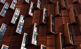 梦见抓住一只鸽子