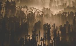 梦见打扫是什么意思