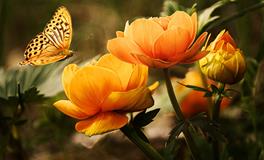 梦见和对象分手