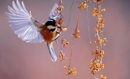 梦见和已经分手的男朋友和好