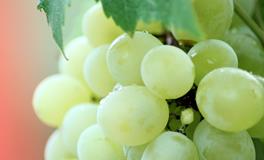 梦见和朋友吵架闹翻了