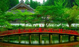 梦见老情人和我在一起