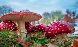 梦见和情人在一起被发现