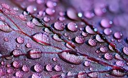 梦见强盗是什么意思