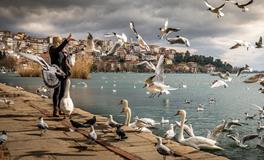 梦到集团领导人