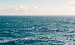 梦到喜欢自己的人