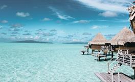 梦到偷人家树上的桃子