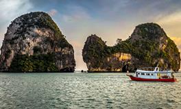 做梦梦到西红柿