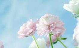 洁安生命灵数一周运势（10.22-10.28）