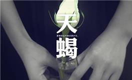 天蝎座喜欢你的暗示