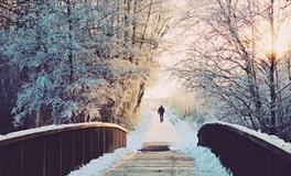 属鼠在金木水火土五行里属什么