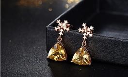 十二星座专属耳钉