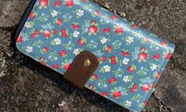 水瓶座的专属钱包