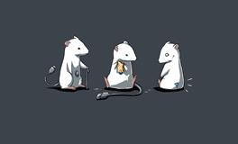 2020年属鼠本命年要注意什么