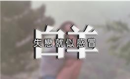 白羊座性格分析大全