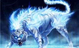 摩羯座守护神兽排名