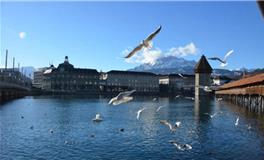 处女座最适合的城市