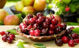 金牛座代表的水果