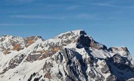 斗柄东指，天下皆春！知名命理：2019年新年祝福及大势预测！