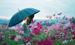 爸爸属蛇妈妈属狗孩子属什么好