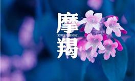 十二星座智商排名，摩羯座智商排名