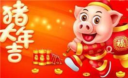 猪年祝福语，猪年祝福语八个字