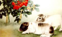 2019年猪宝宝乳名，猪宝宝乳名起名