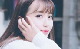 猫石对话2019年2月运势