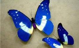 白羊座代表的蝴蝶