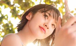 属猪摩羯座2019年运势