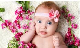 木字旁的字女孩取名