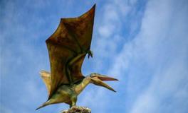 处女座代表的恐龙