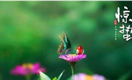 2019年惊蛰，2019年惊蛰是哪一天