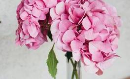 3月上旬哪些星座福气多呢？真是让人羡慕！