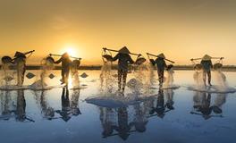 梦见拔草周公解梦