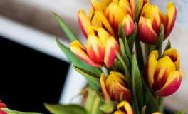 董易林2019年3月20日生肖运势