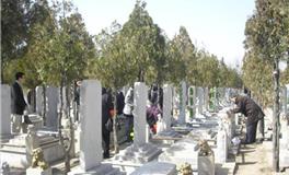 清明节扫墓，清明节祭祖扫墓必知事项