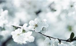 春分点，春分点是什么意思