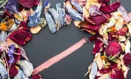 苏珊米勒今日运势2019年3月27日